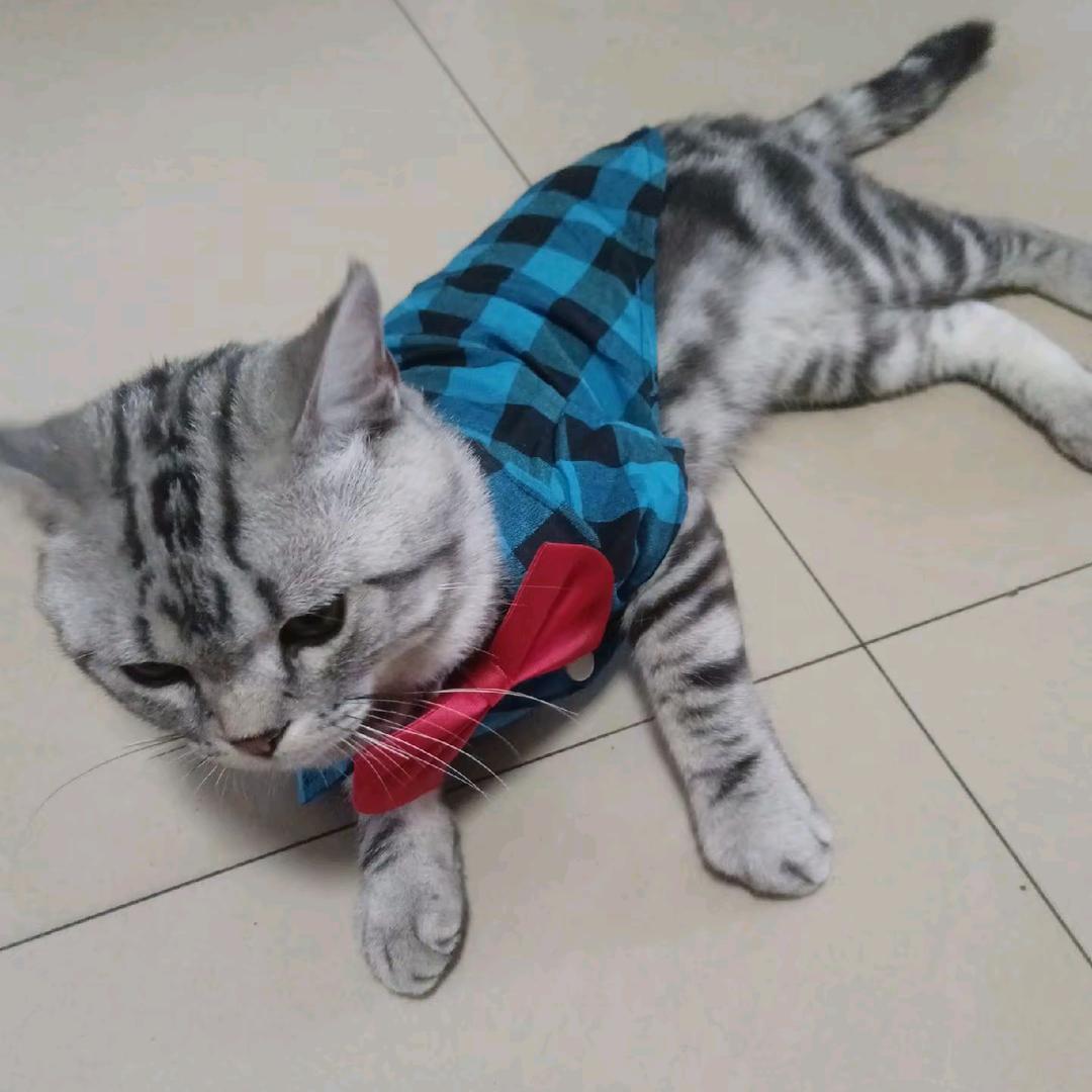 @@