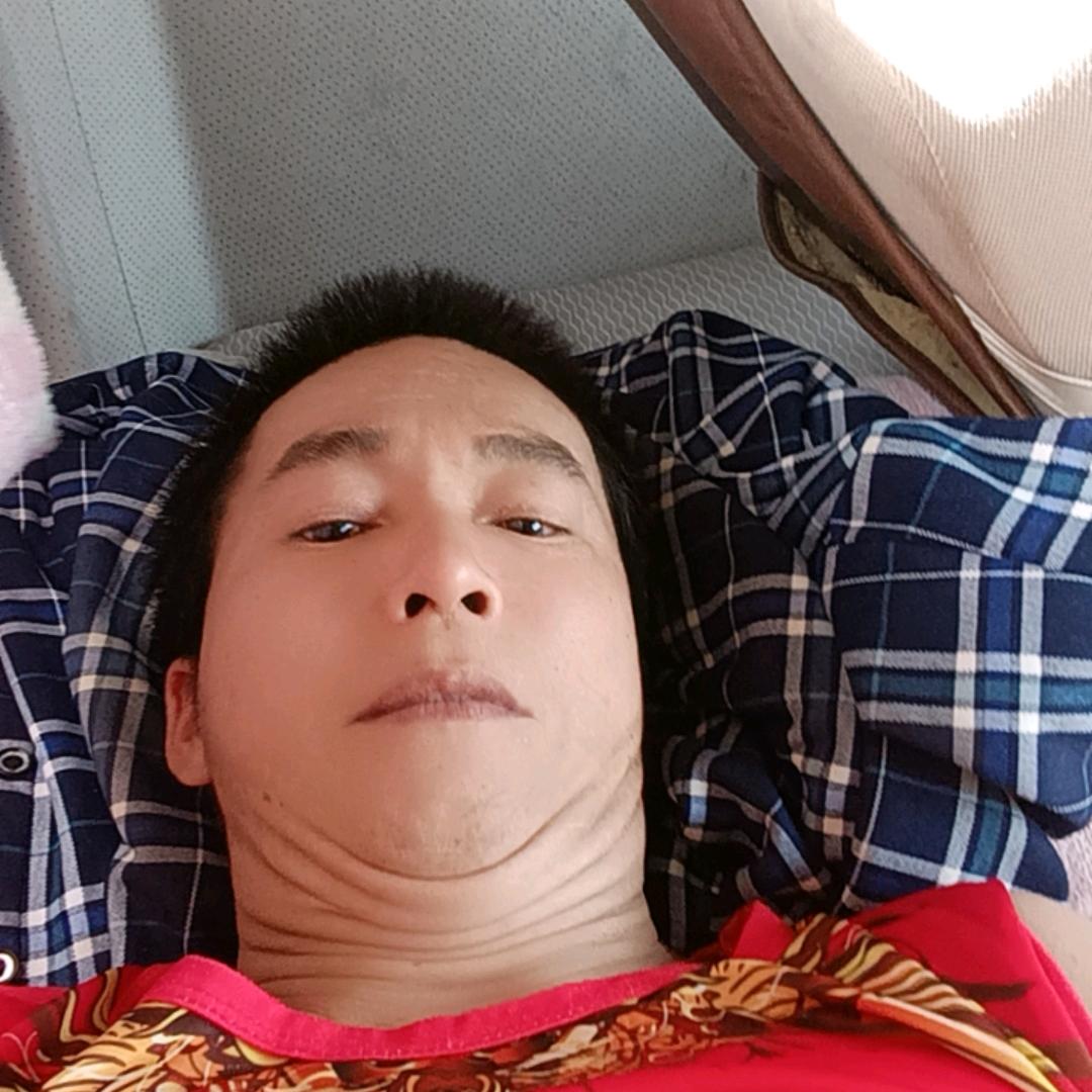 万年春