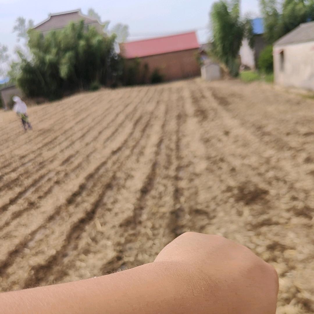 一如往昔，，。