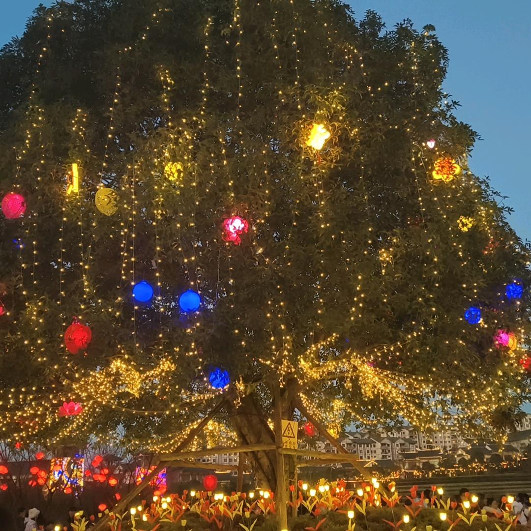 @爱唱歌的工地刚哥