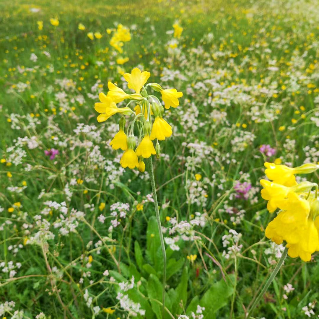 希望自己越来越好。
