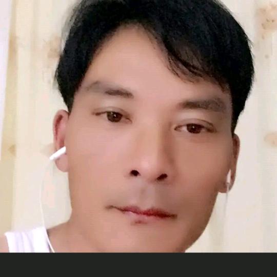 楊NS