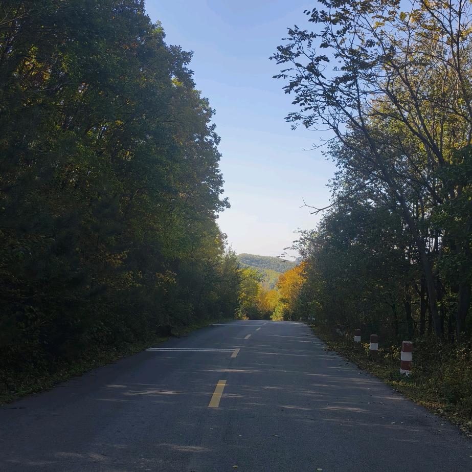 豆芽飞（开播准备中）