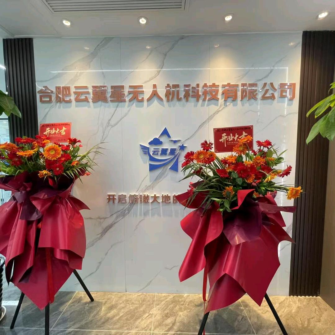 合肥云翼星培训小号