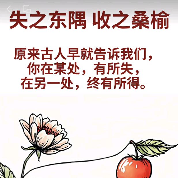 米多多