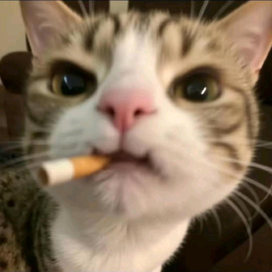 不要麻我打火机