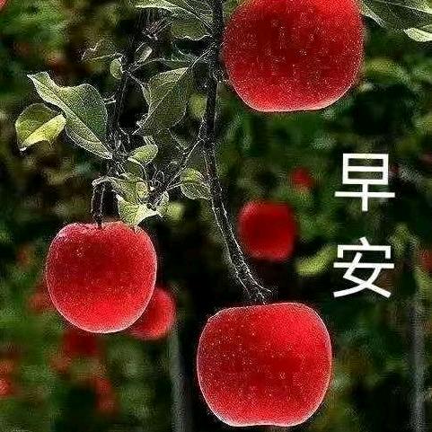 时光静好