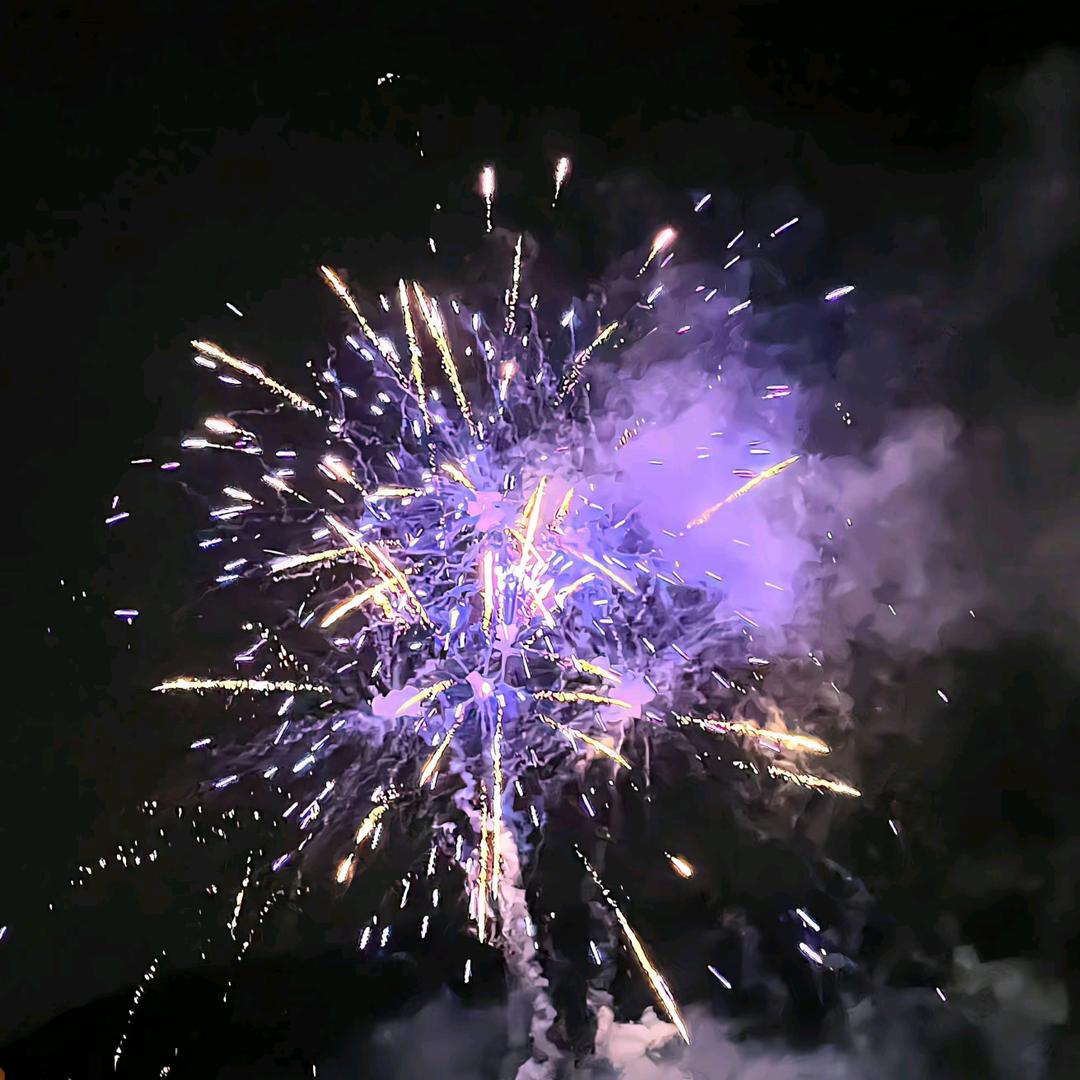 郑大钱见啵啵✧*｡