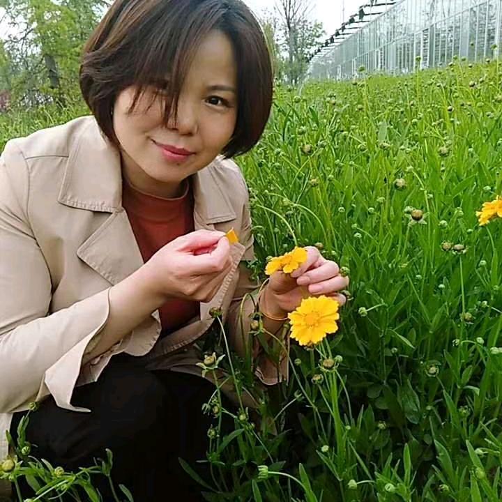 幸运草精灵