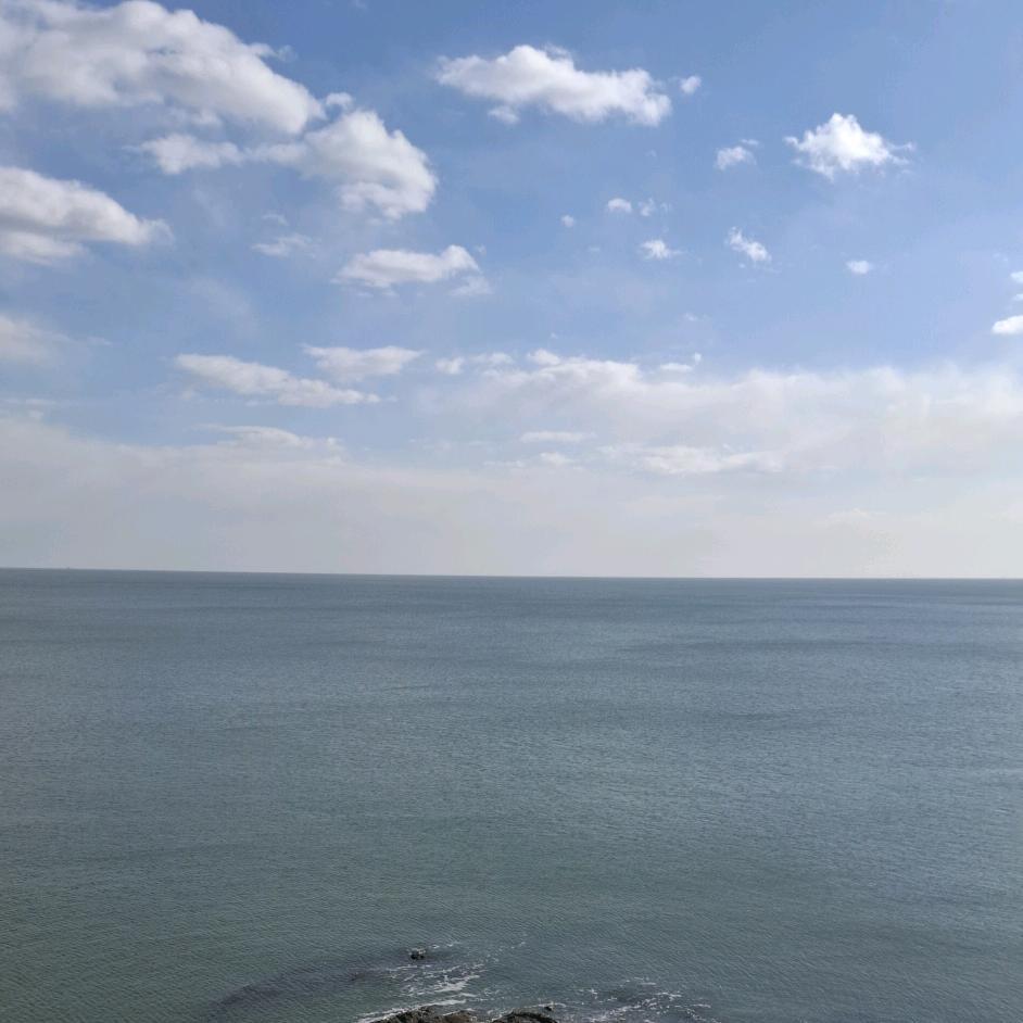 竹影清风