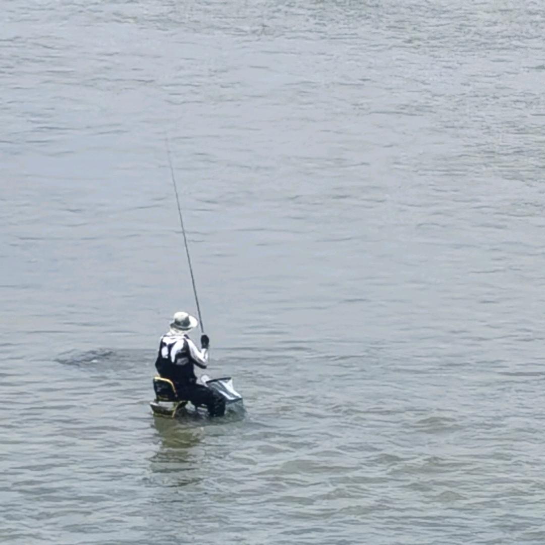 小G爱流浪