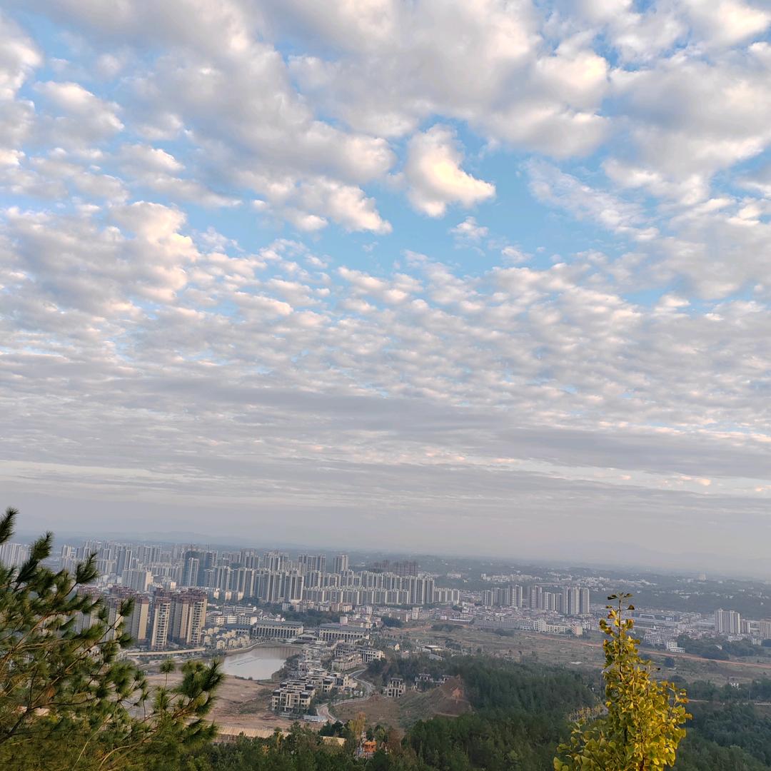 liuzi