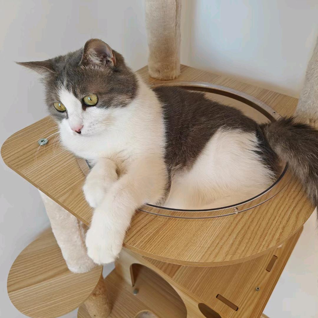 啾不上班就不上班