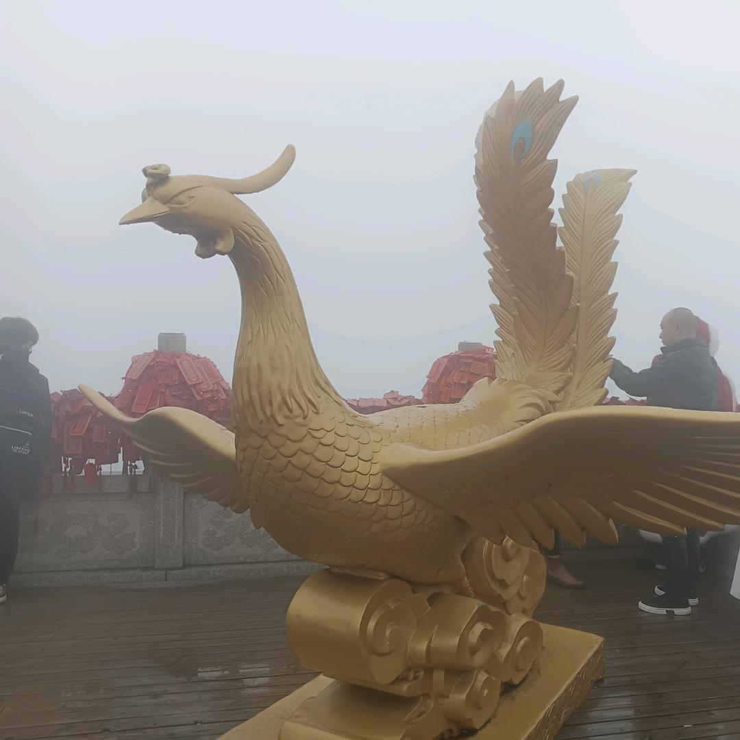 徐廷旭