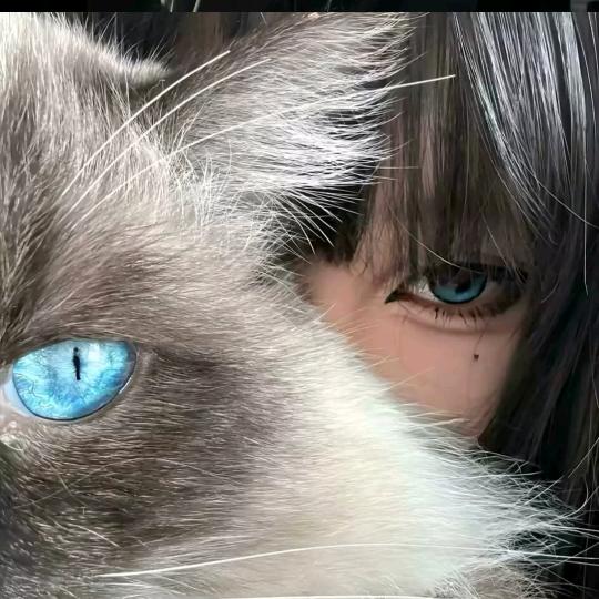 娇妻.