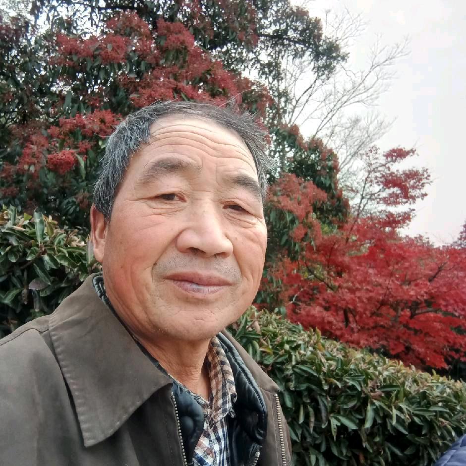 奋斗老头(周五 周六 晚上8点18开播)