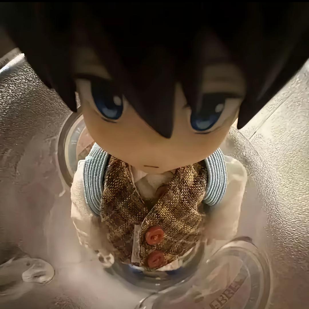 辞淮柳