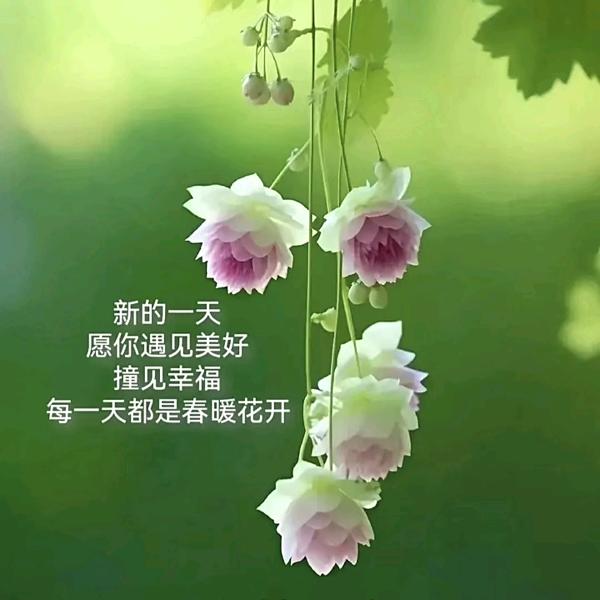 💞ঞᩚ᭄米粒ル💕