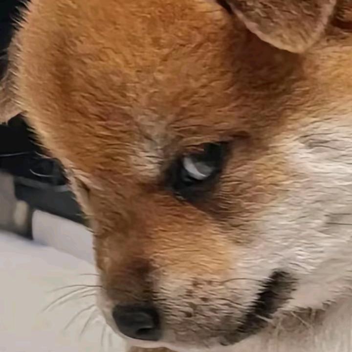 💝余生安好❤ ✨💕ꦿ᭄