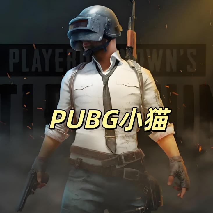 PUBG小猫