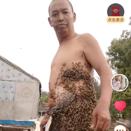 长路蜜蜂圆