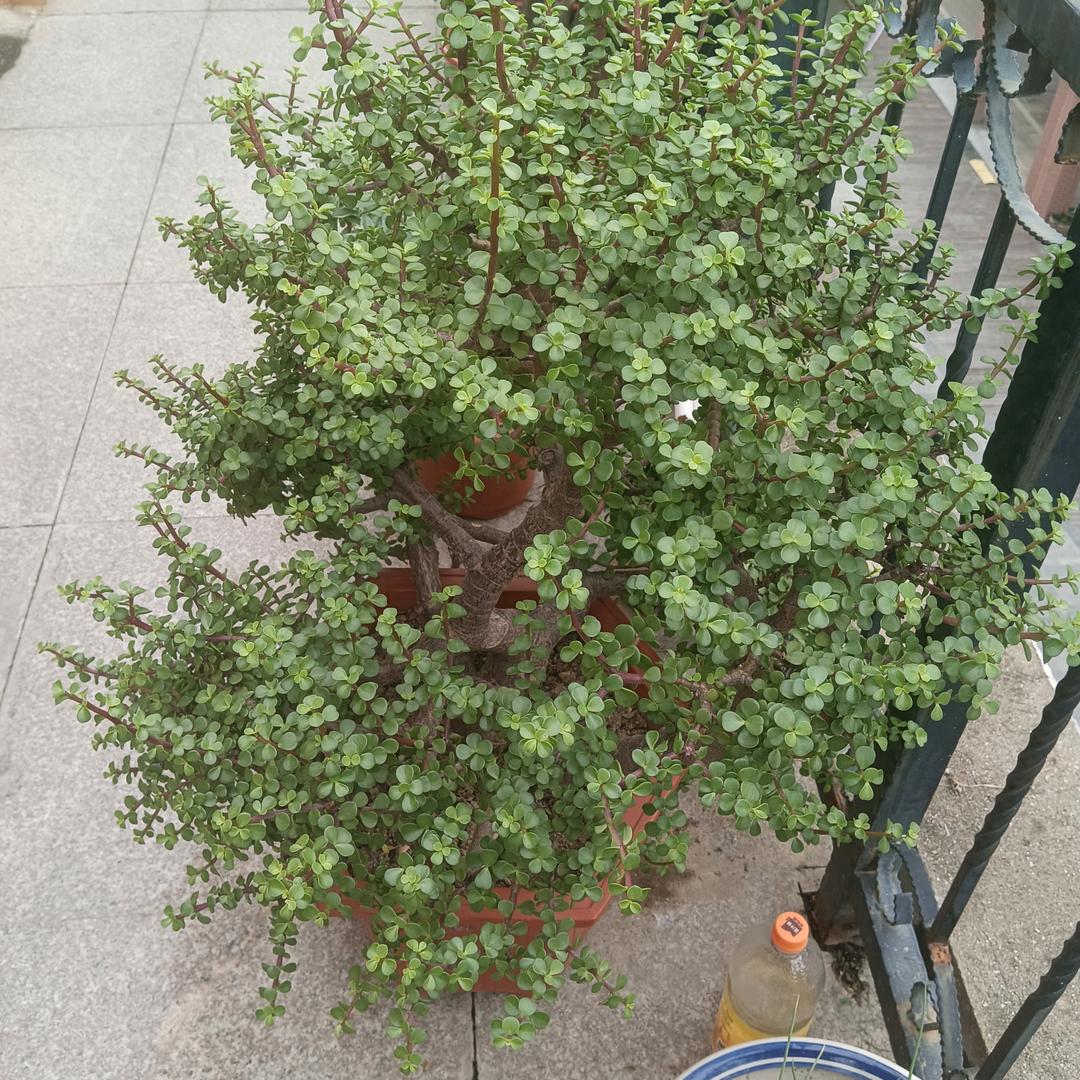用户6598349305817