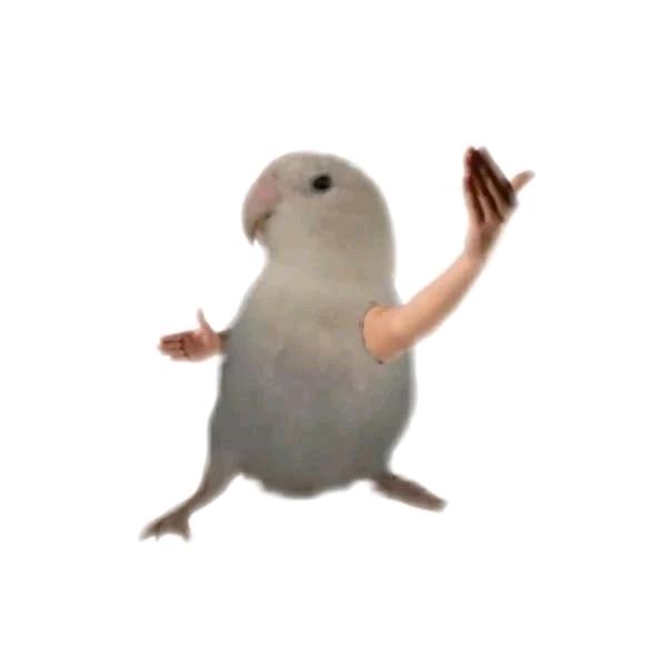 ❥ · DF-61使命必达