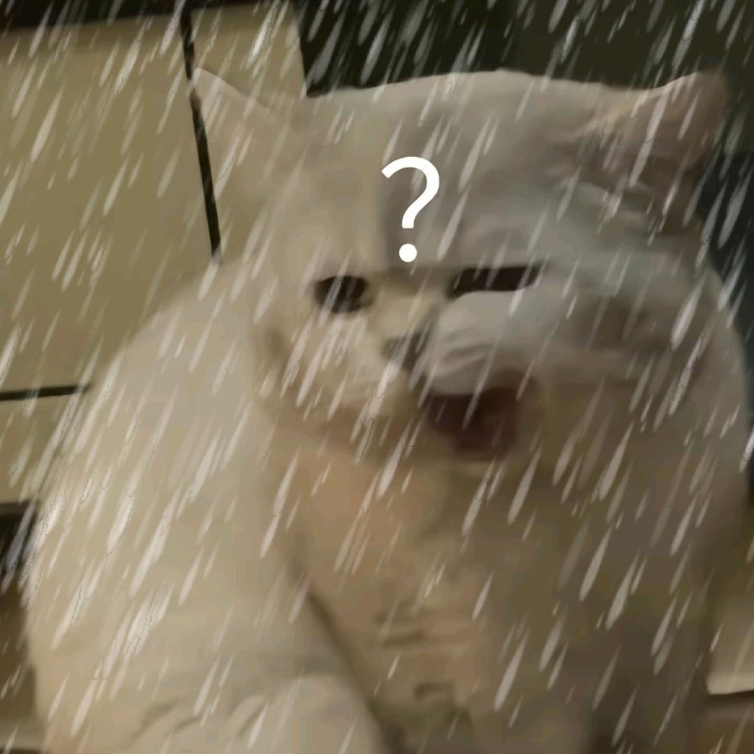 下小雨了呗？