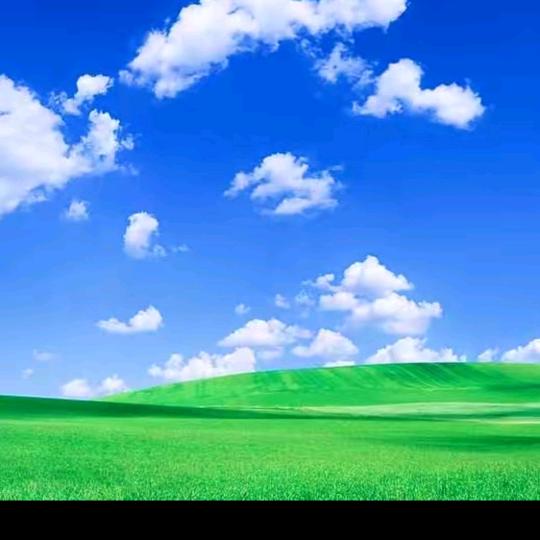 蓝🌈天<<生活号>>