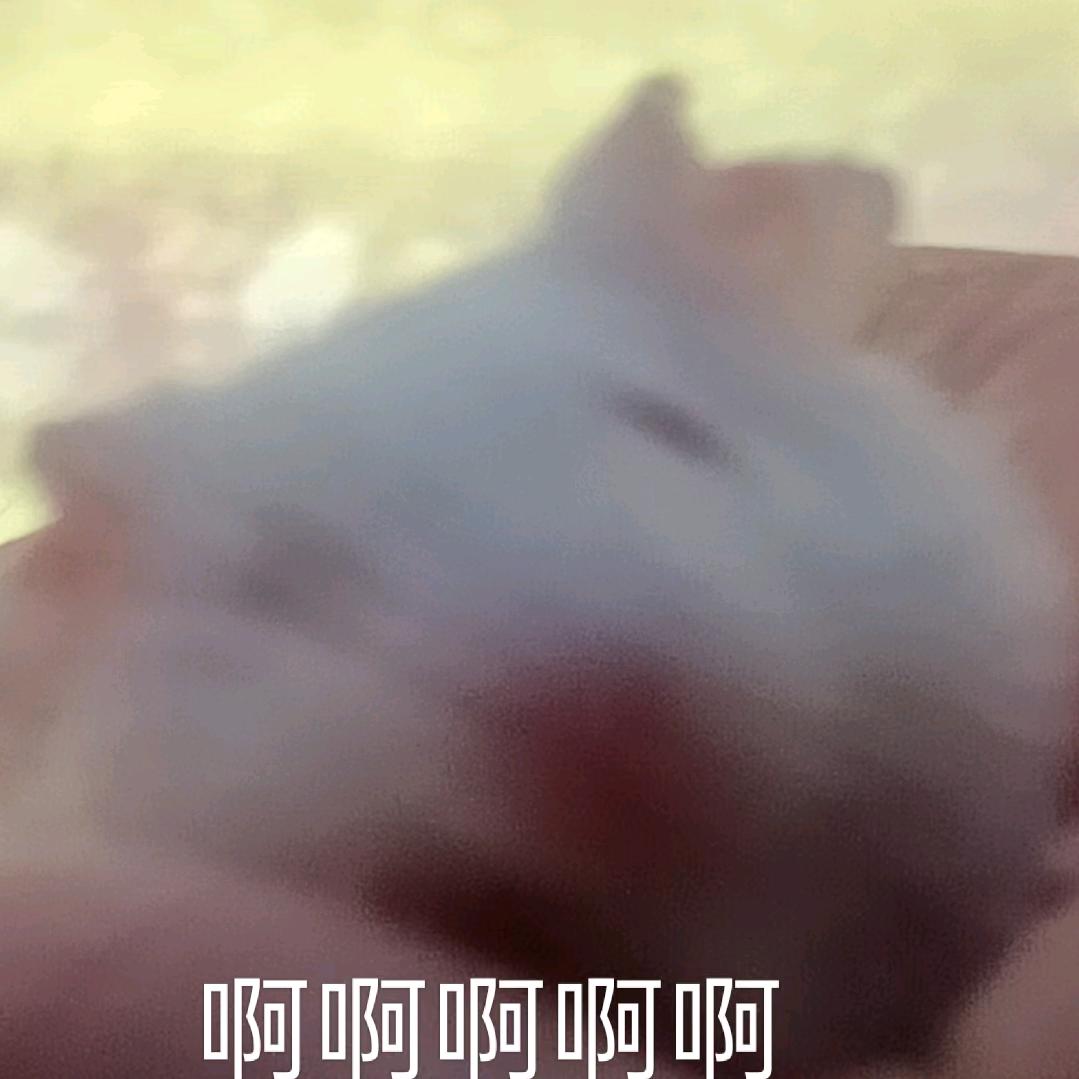 宇宙霸王龙🦖