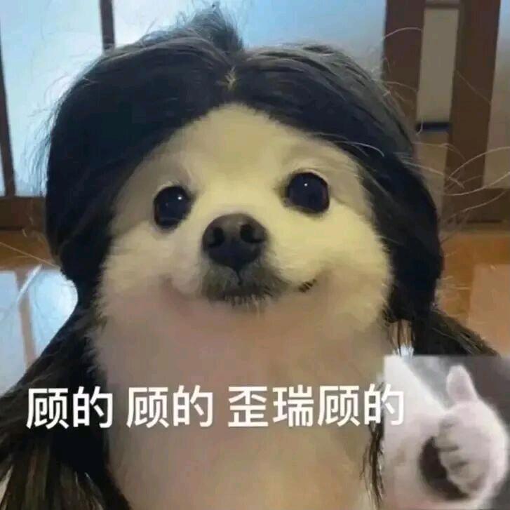 低配版丐中丐