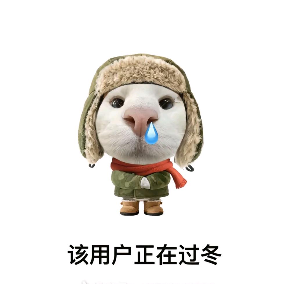 盐津虾