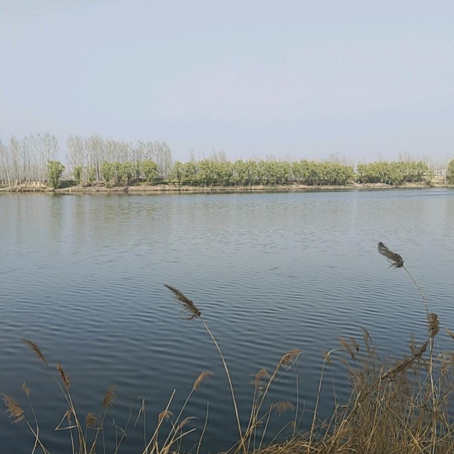 推着架子车撵奔驰