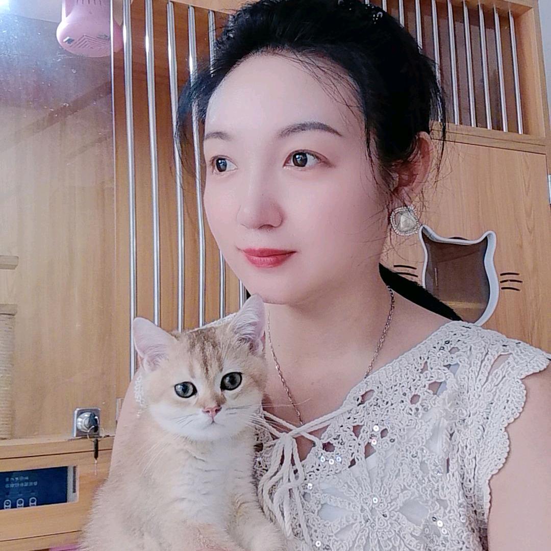 陆丰金渐层姐姐
