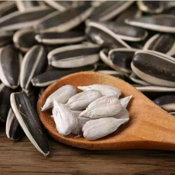 内蒙古葵农瓜子店