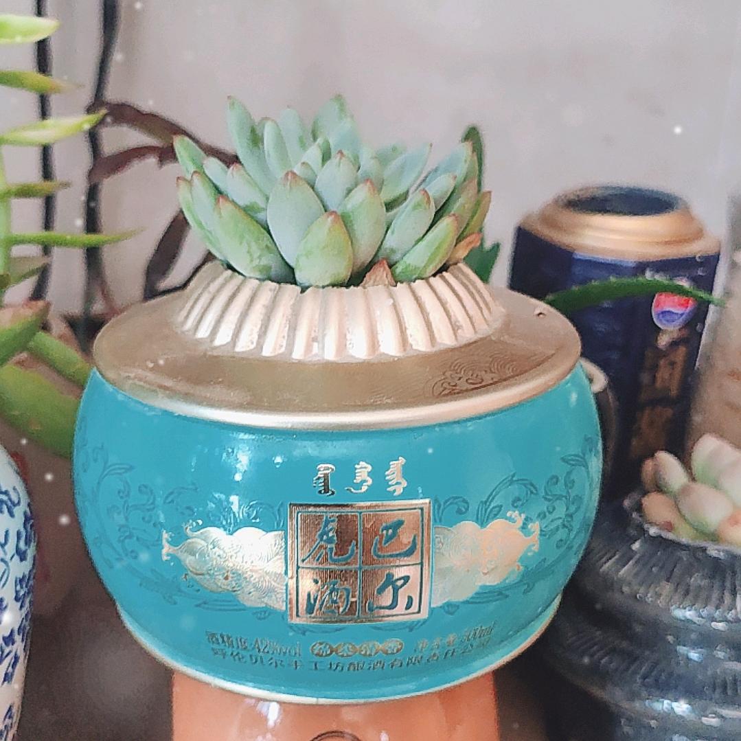 走千条路吃万家饭