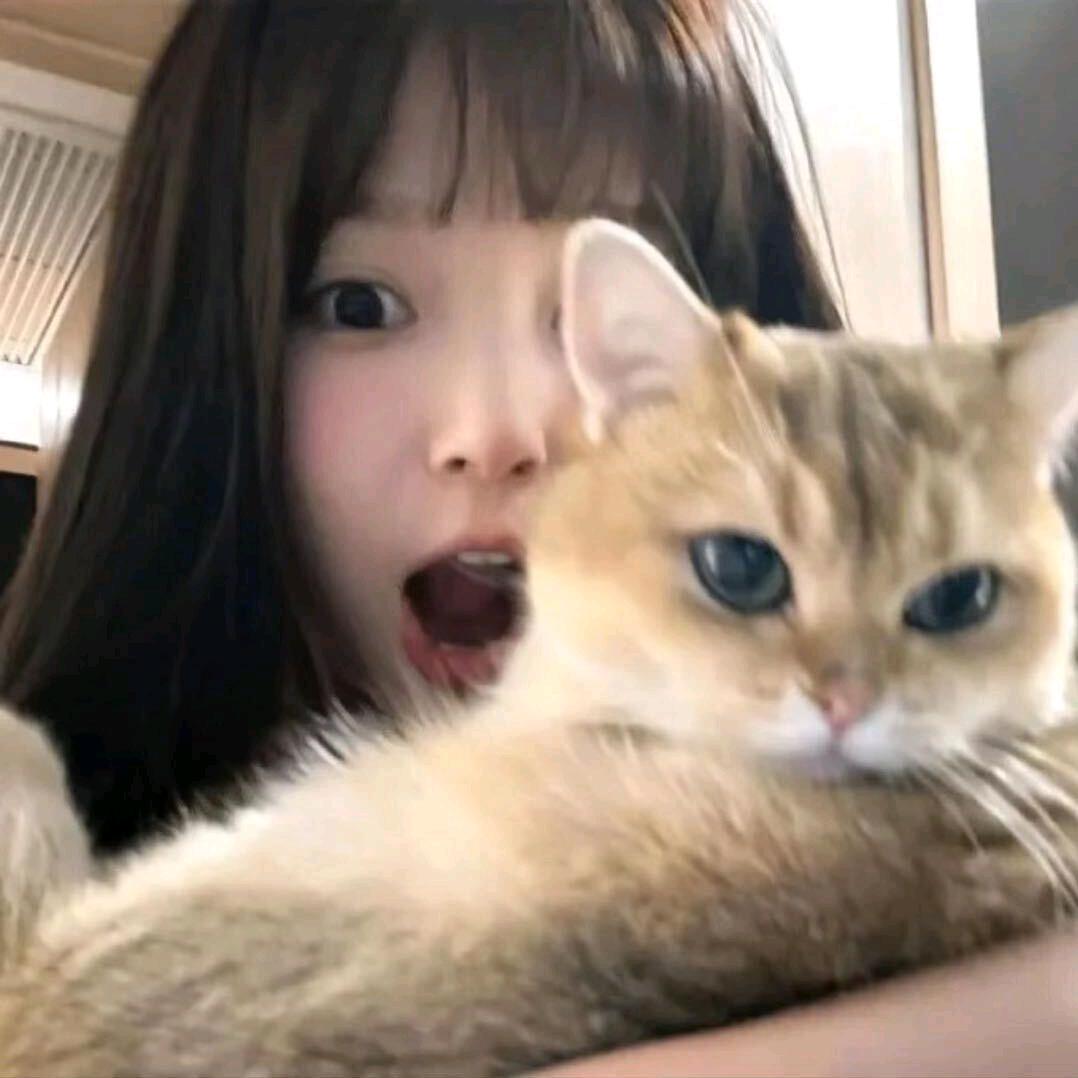小铃好物推荐