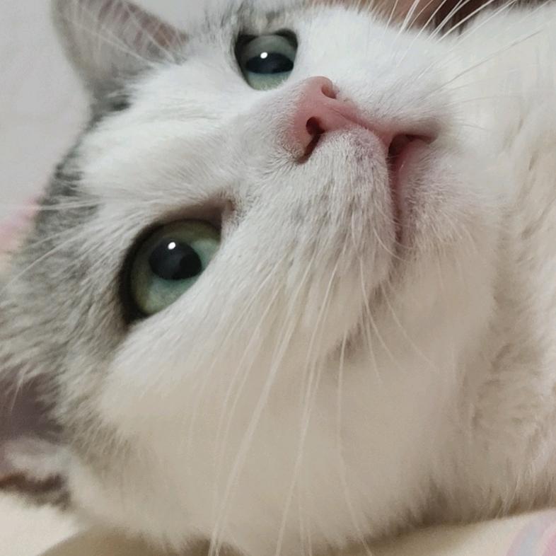 小时候我还抱过你
