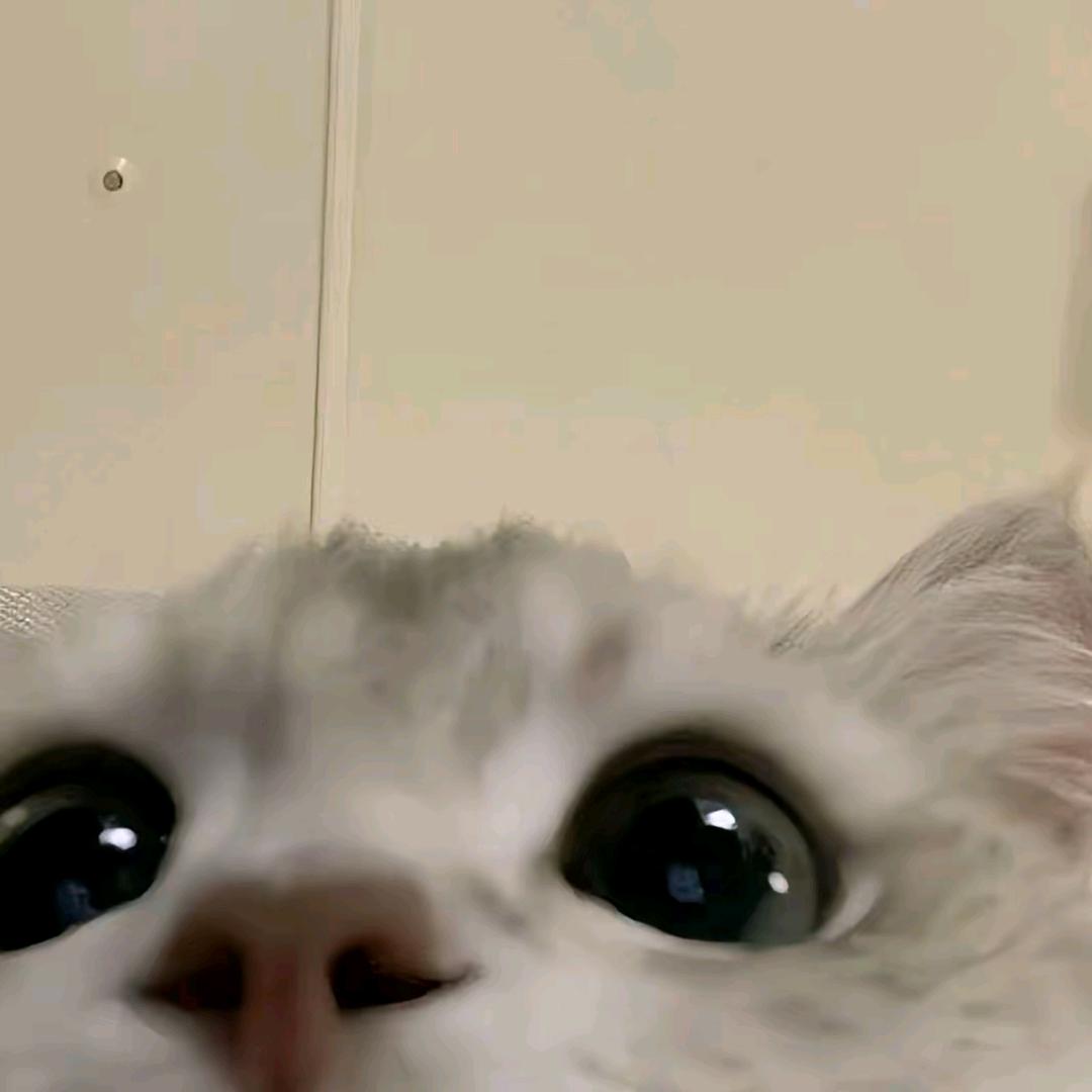 十月秋拾
