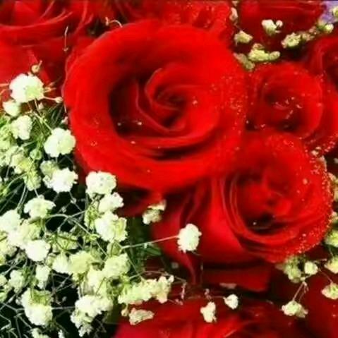 开🌺心🌹🌲