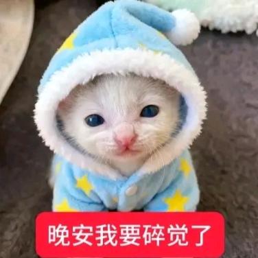 别搞我我好困