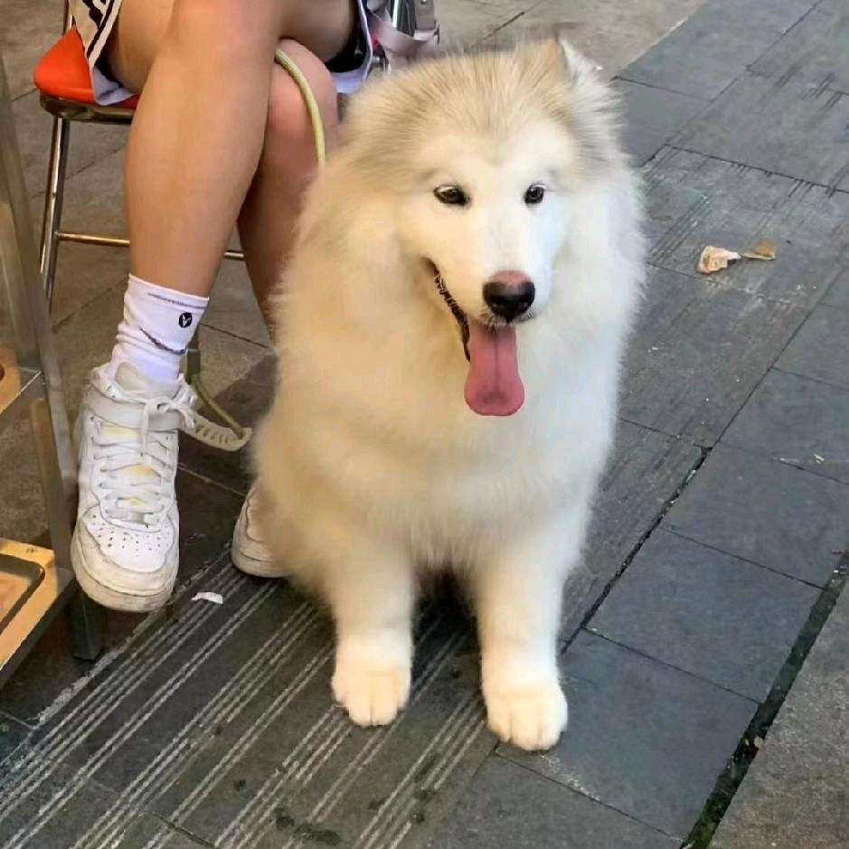 想有钱