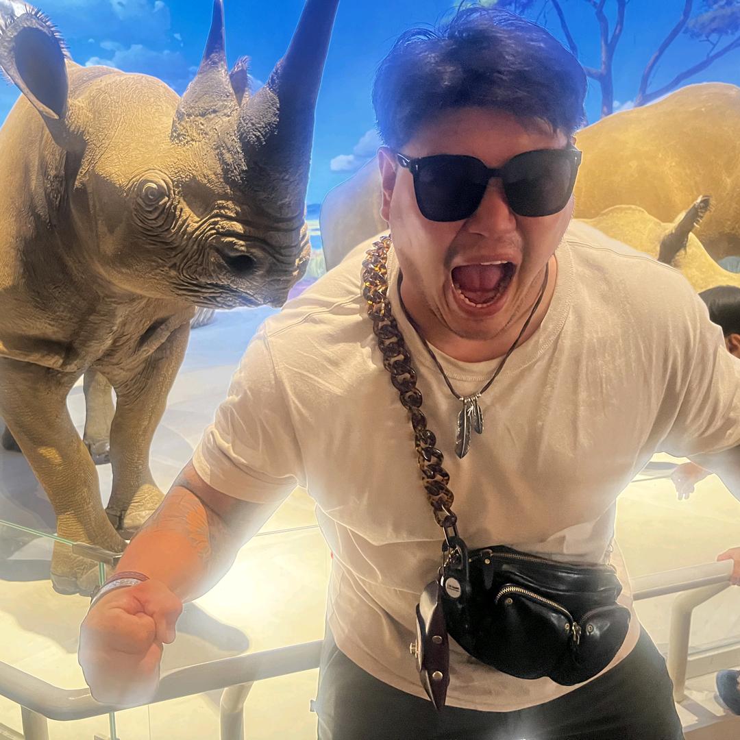 🌻🦏🌻暴躁犀牛🌻🦏🌻