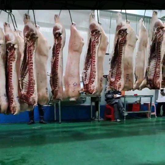 大膘黑猪肉