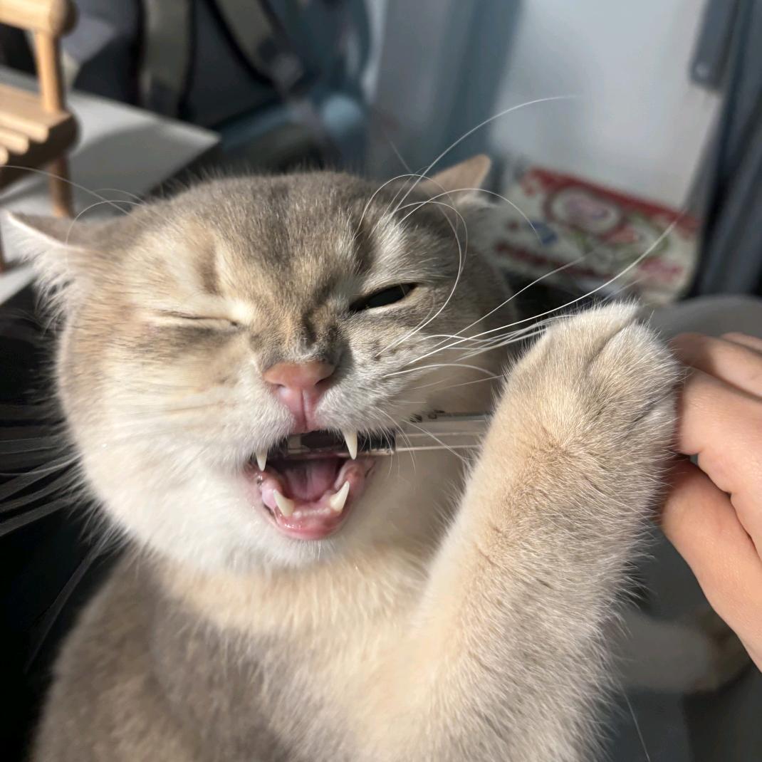 不要对我严格