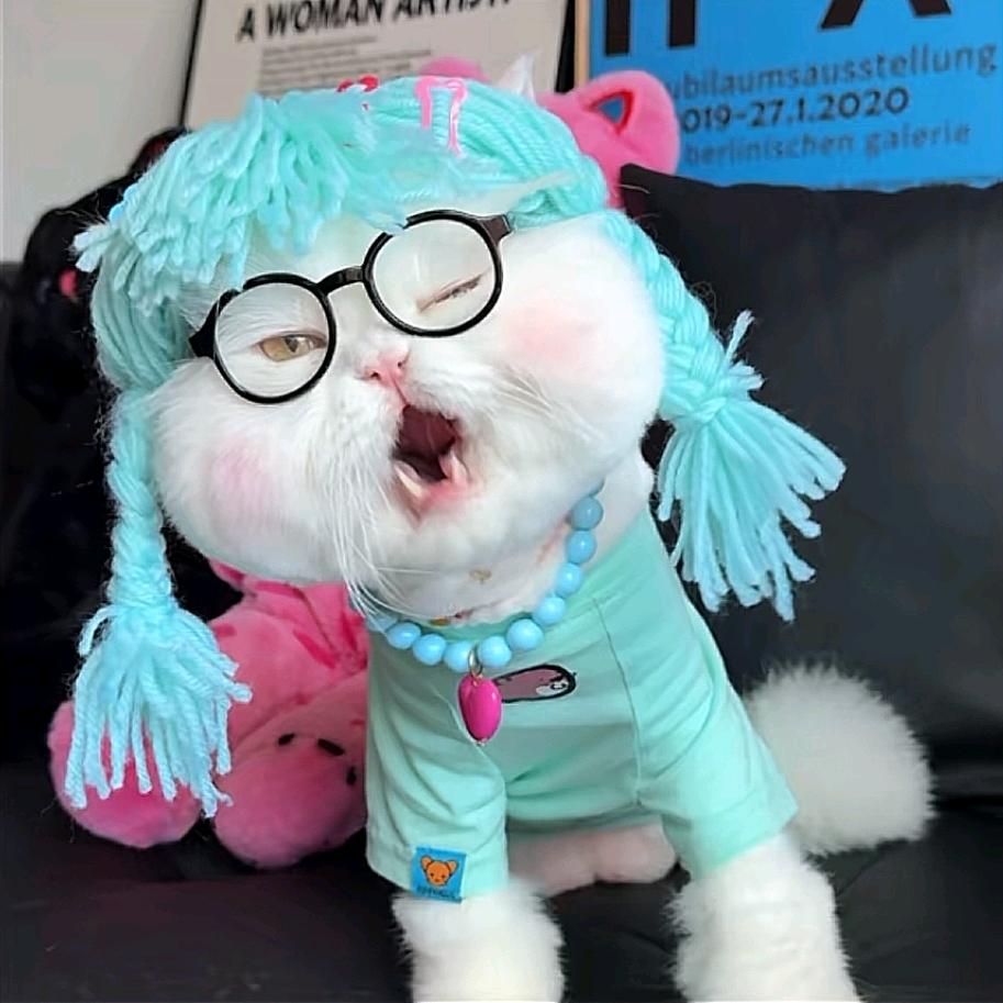 张谨兮™