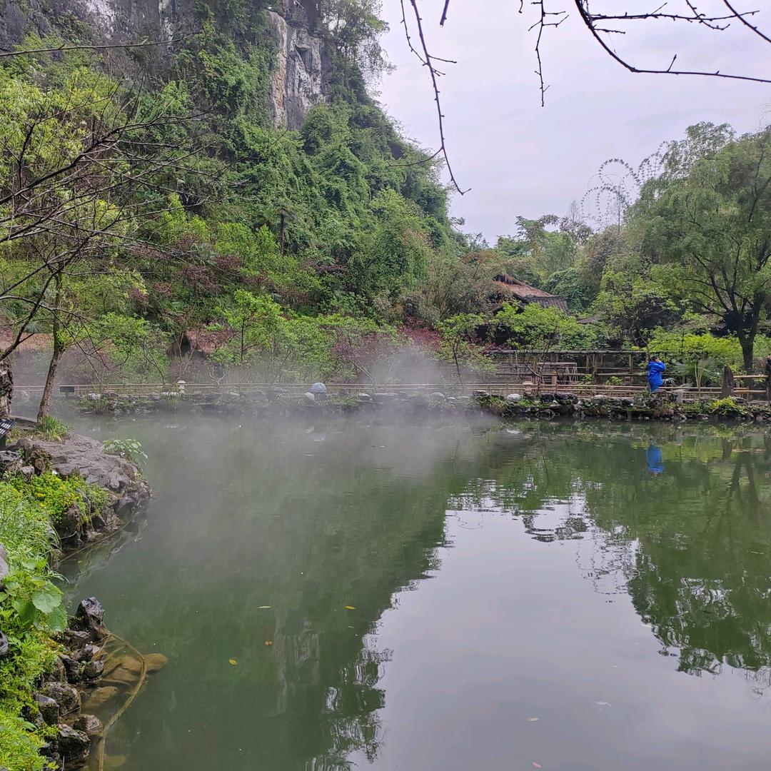 亦易黄荆桩绿植
