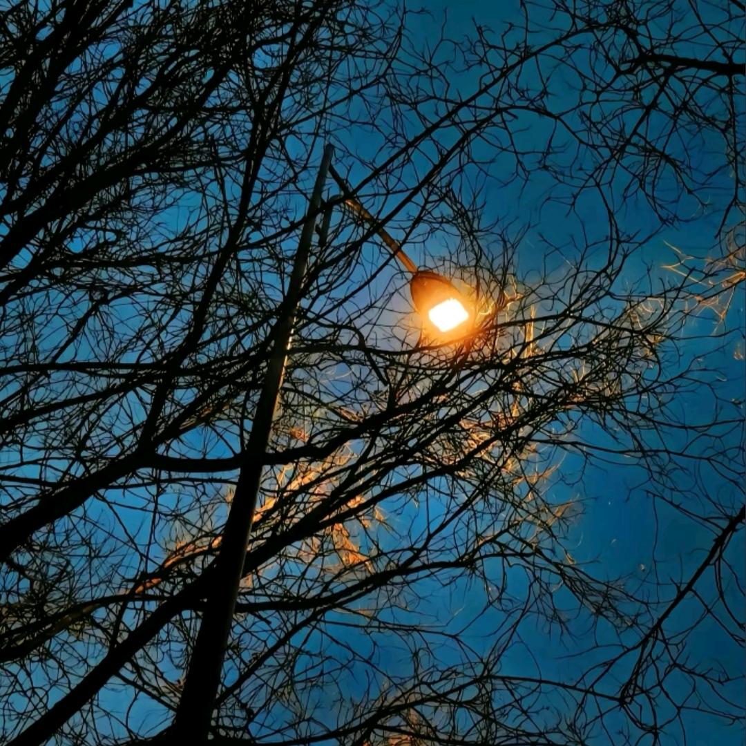 ♈️♈️♈️♈️♈️