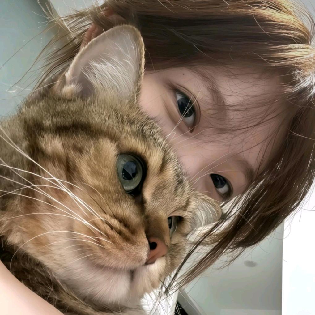 呆聆.🐾