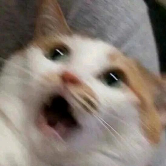 酸酸枣